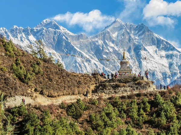 More Than Just a Travel Company